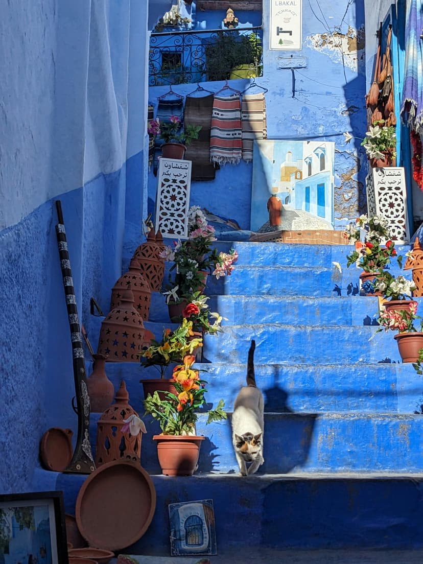 Escaliers bleus de Chefchaouen